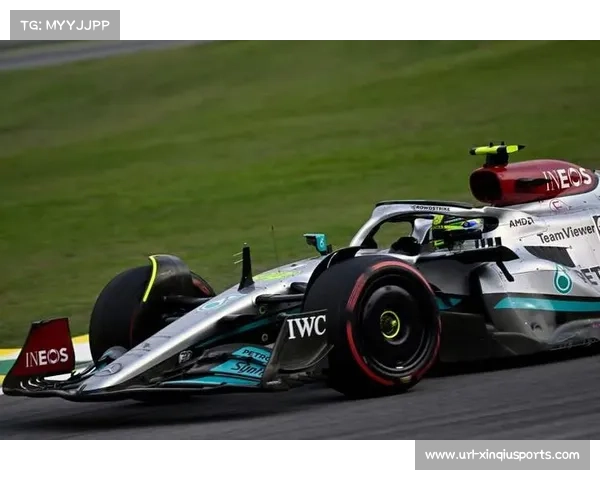 塞纳精神永存：英特拉格斯赛道致敬巴西赛车英雄